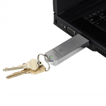 ironkey basic ironkey basic