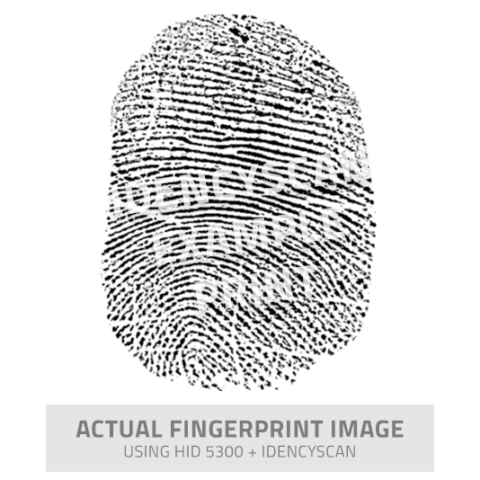Logo du logiciel IdencyScan 2023