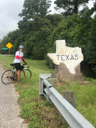 Texas State Sign